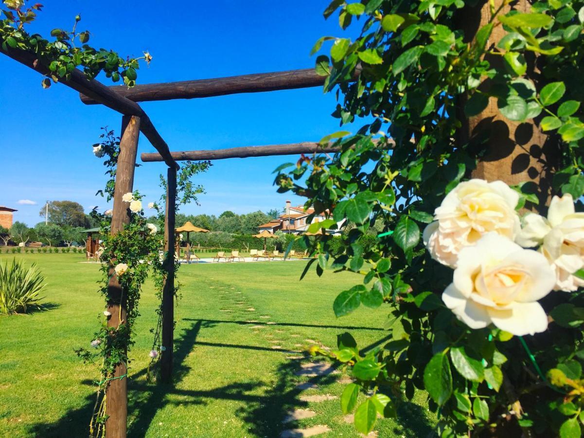 Casale La Rovere Montalto di Castro Kültér fotó